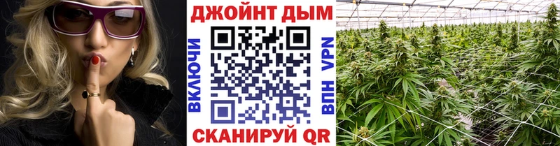 Шишки марихуана White Widow  Купить закладки  Ардон 